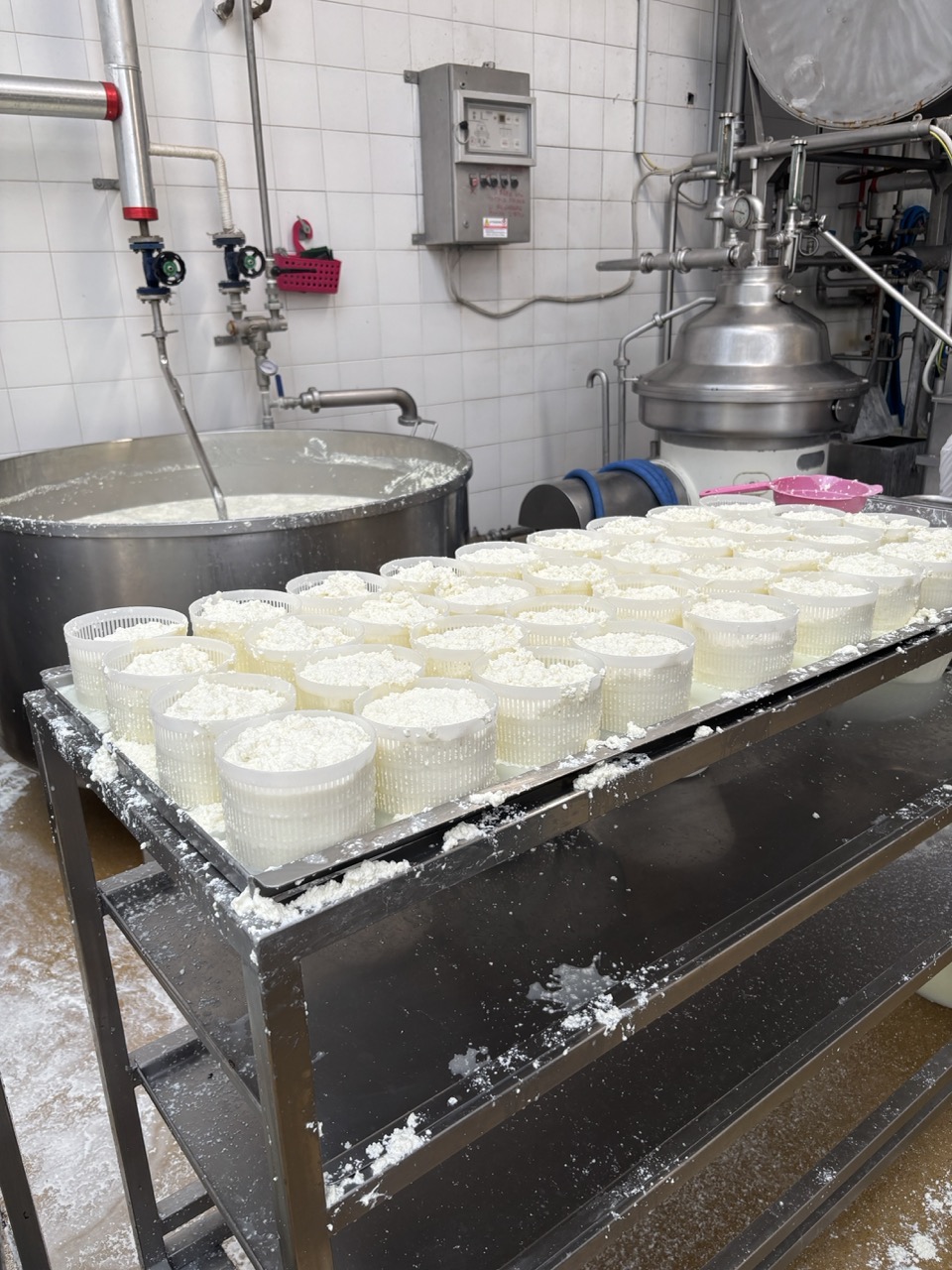 Ricotta packing