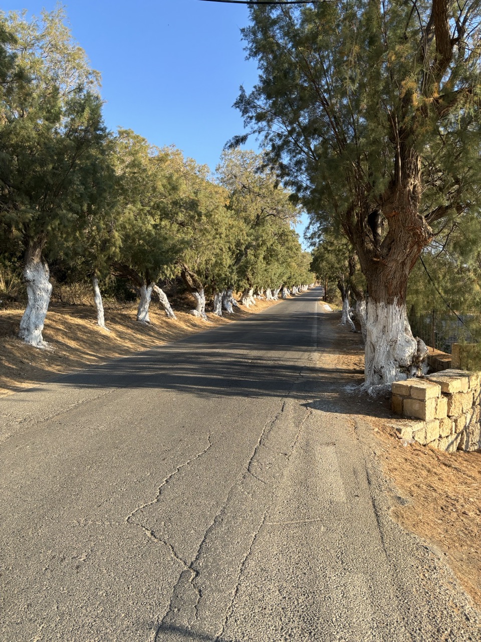 Path up to OAC