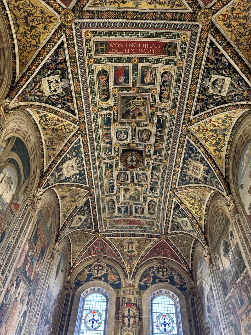 Looking up