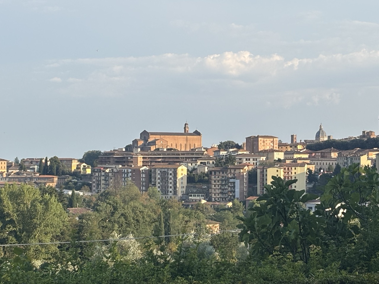 Siena skyline