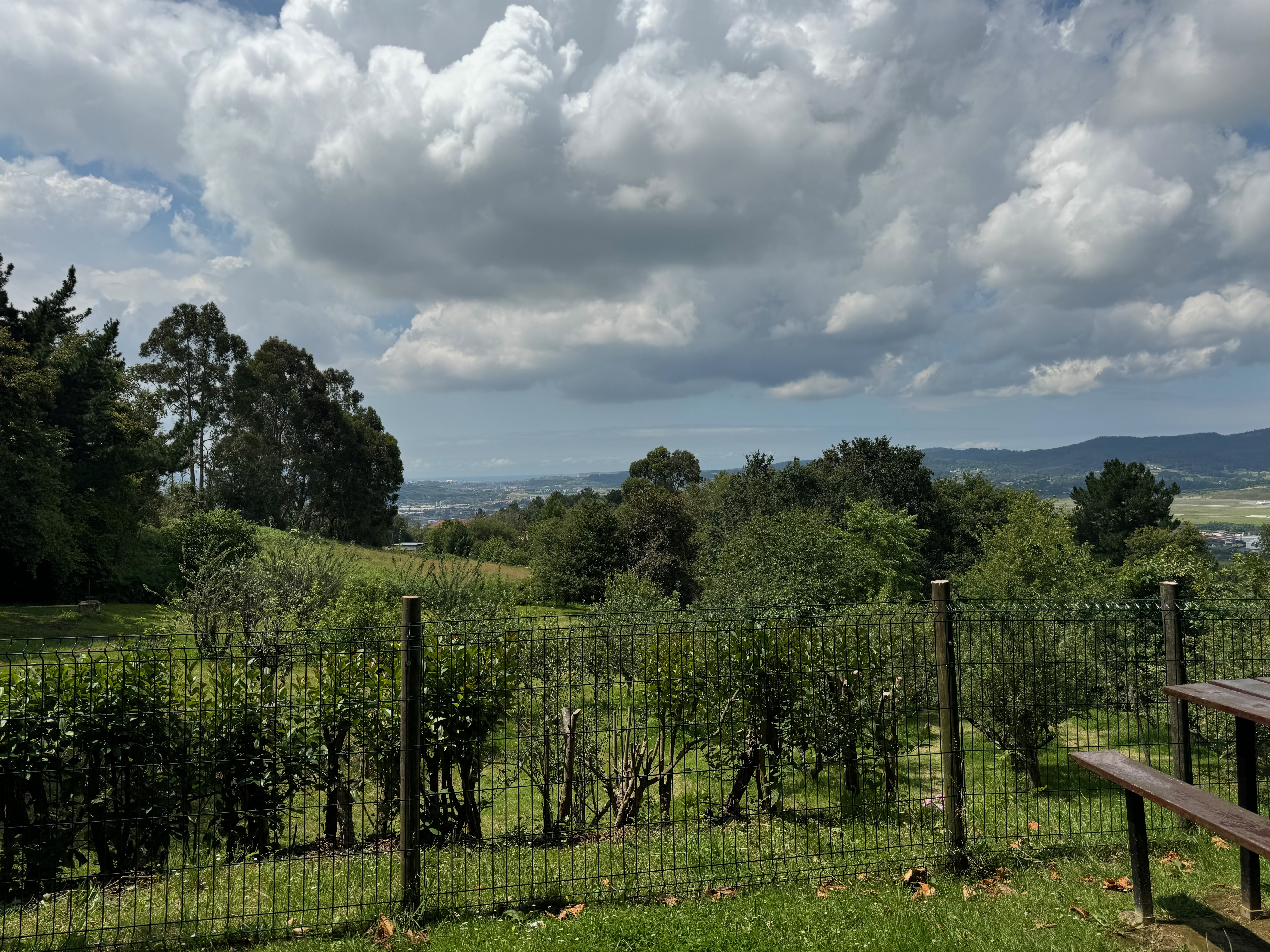 Beautiful green countryside around Bilbao