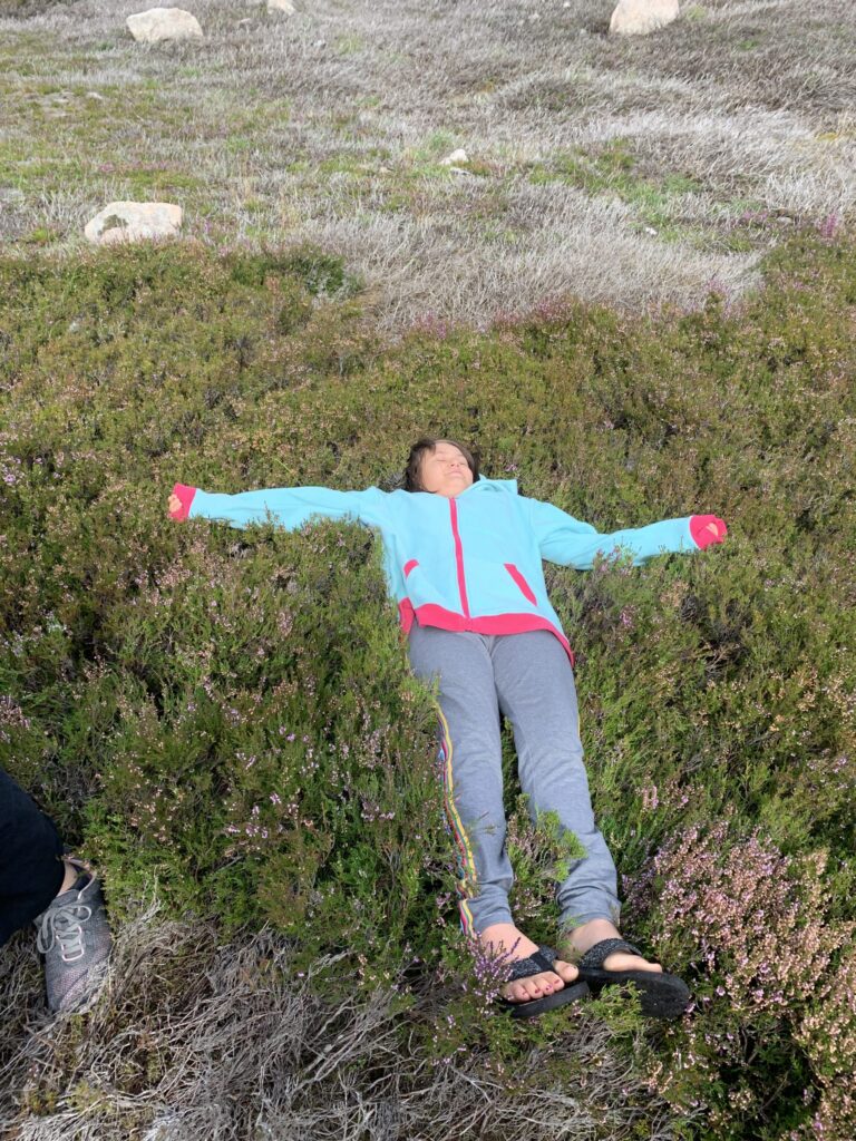 Heather, so soft and springy