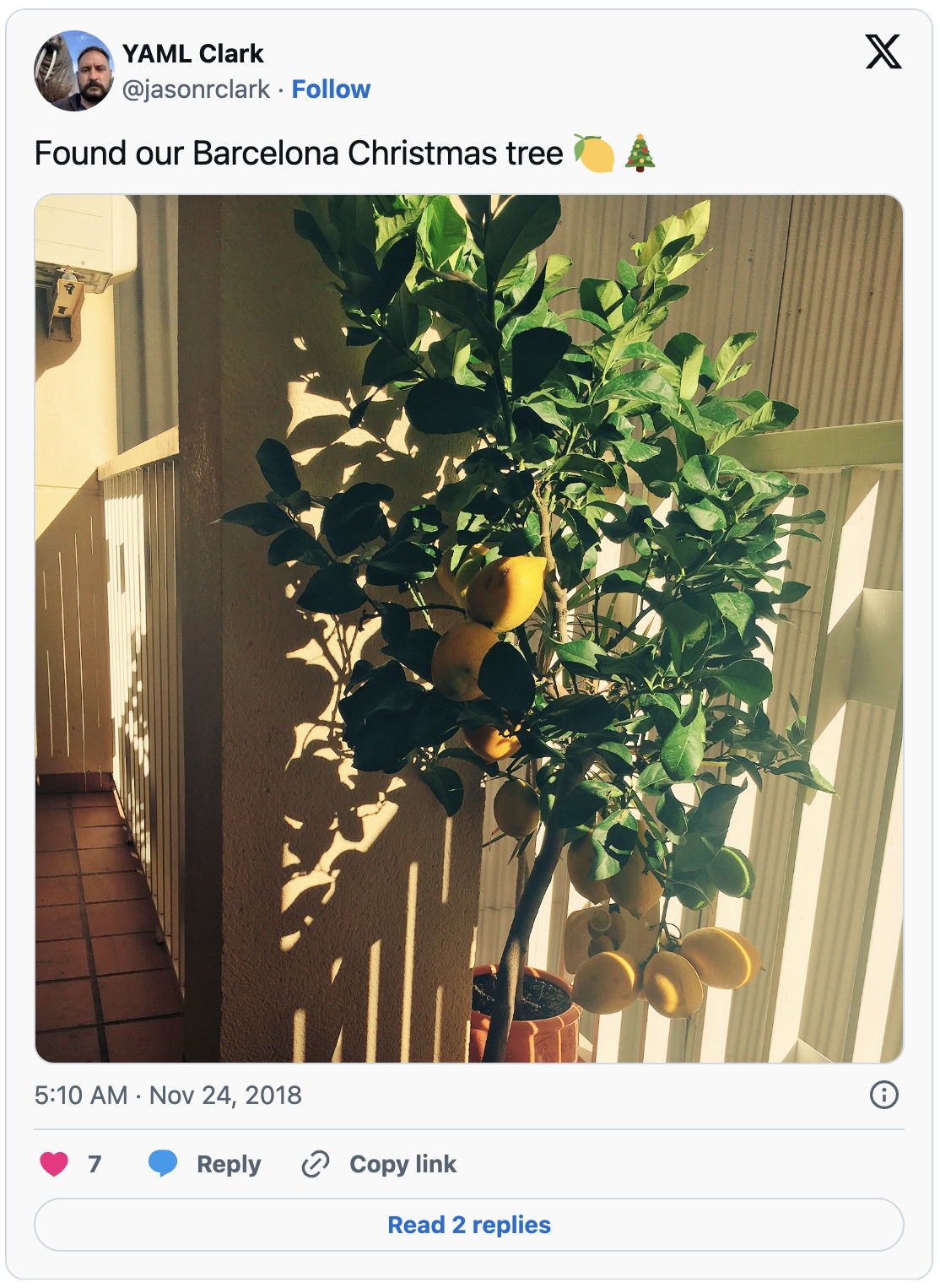 Doing something with lemons